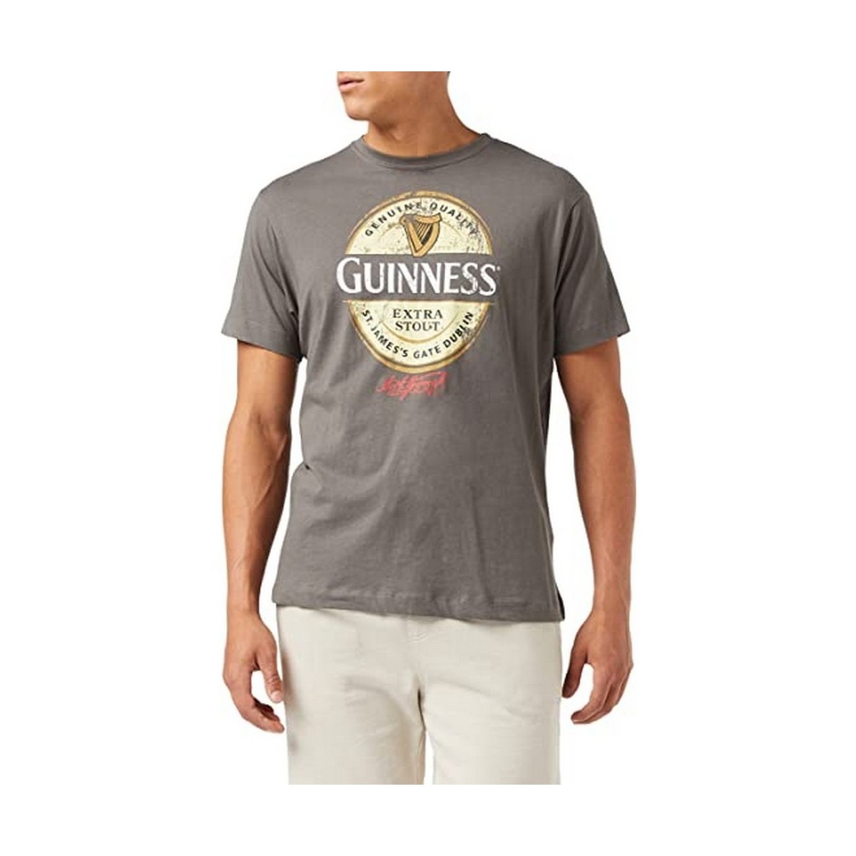 Vêtements Homme T-shirts manches longues Guinness TV1351 Multicolore