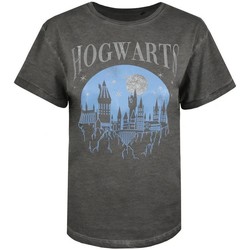 Vêtements Femme T-shirts manches longues Harry Potter TV1354 Gris