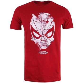 Vêtements Homme T-shirts manches longues Marvel Webhead Rouge