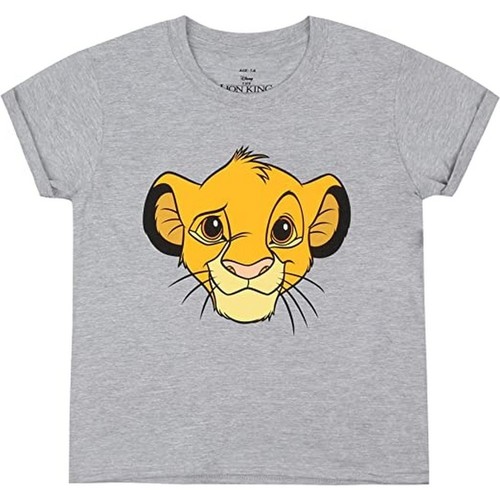 Vêtements Femme T-shirts manches longues The Lion King TV1525 Gris