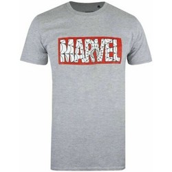 Vêtements Homme T-shirts manches longues Marvel TV1528 Gris