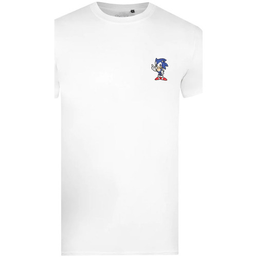 Vêtements Homme T-shirts manches longues Sonic The Hedgehog TV1599 Blanc
