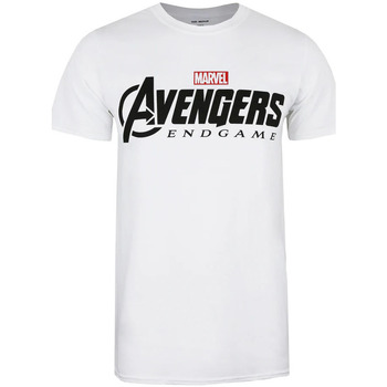 Vêtements Homme T-shirts manches longues Avengers Endgame  Blanc