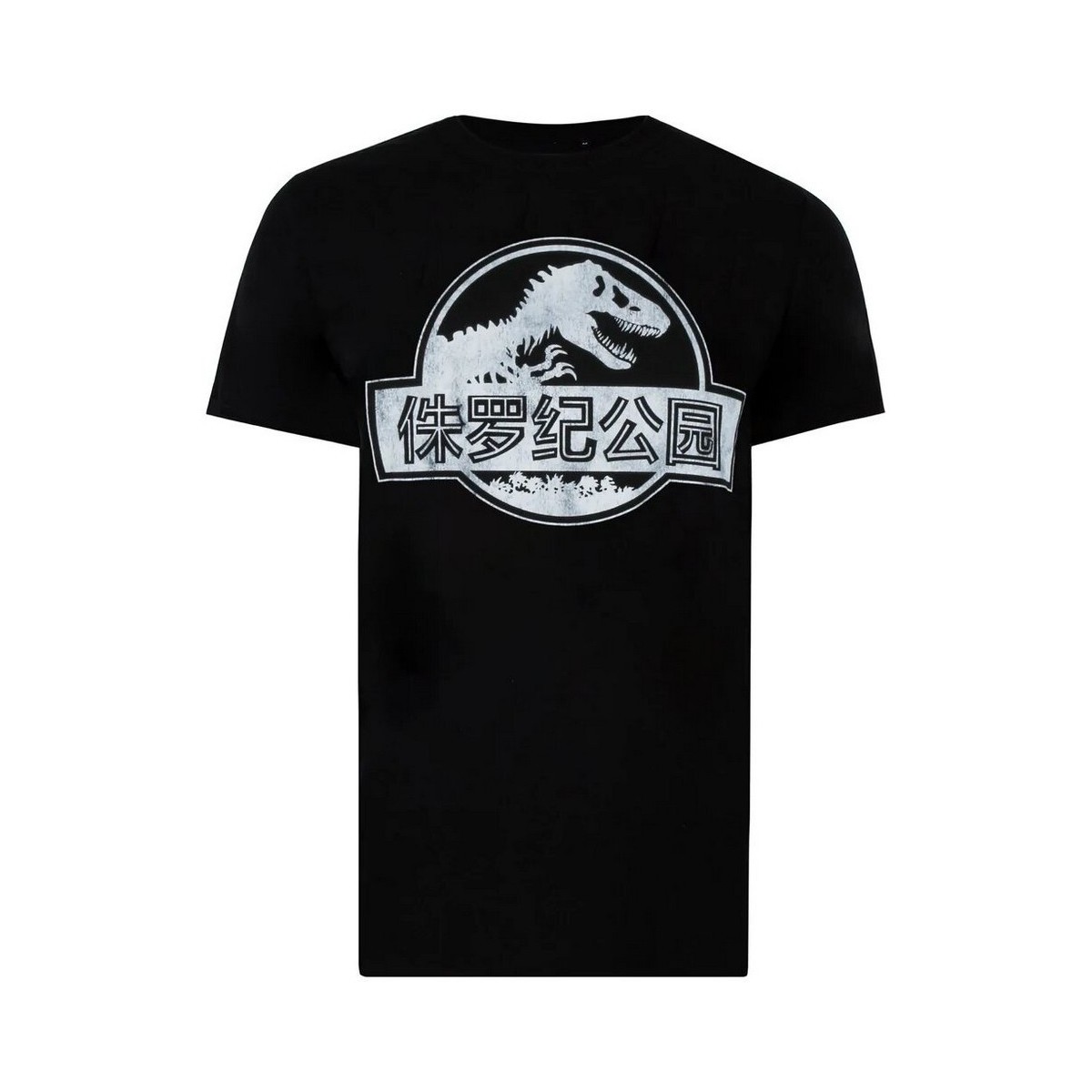Vêtements Homme T-shirts manches longues Jurassic Park TV287 Noir