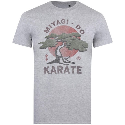 Vêtements Homme T-shirts manches longues Cobra Kai Miyagi Do Gris