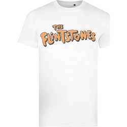 Vêtements Homme T-shirts manches longues The Flintstones TV327 Orange