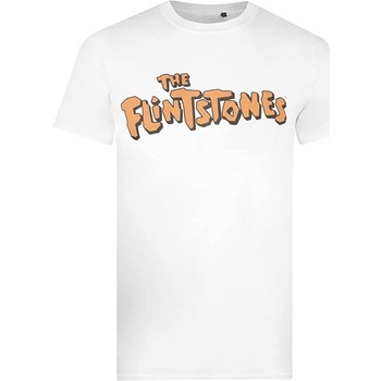Vêtements Homme T-shirts manches longues The Flintstones TV327 Orange