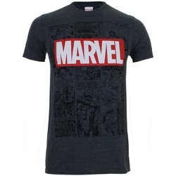 Vêtements Homme T-shirts manches longues Marvel  Gris