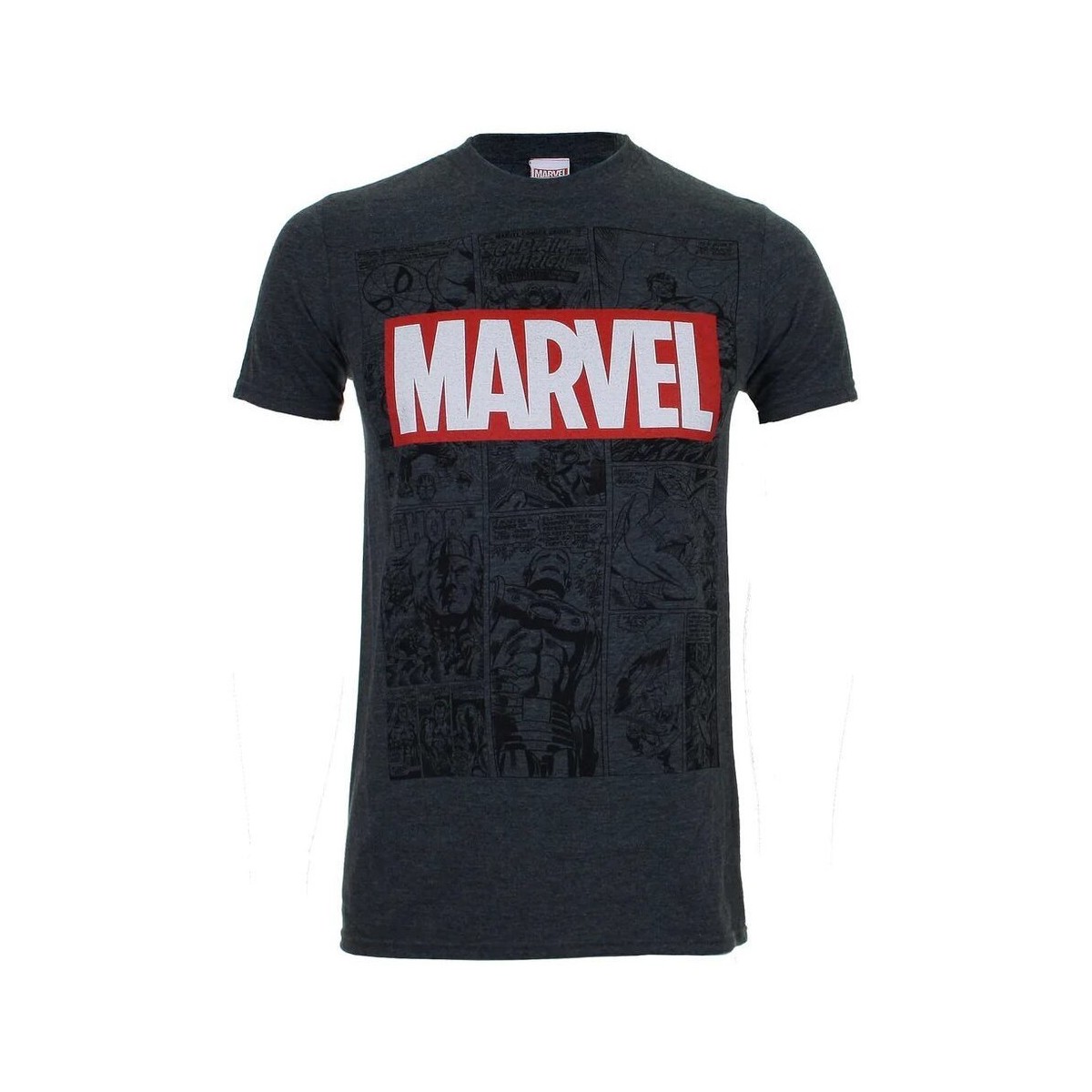 Vêtements Homme T-shirts manches longues Marvel TV353 Gris