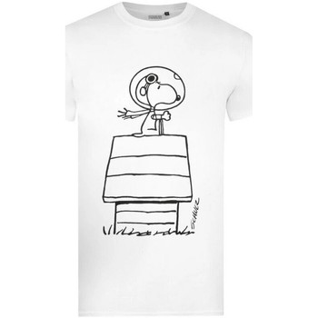 Vêtements Homme T-shirts manches longues Peanuts  Blanc