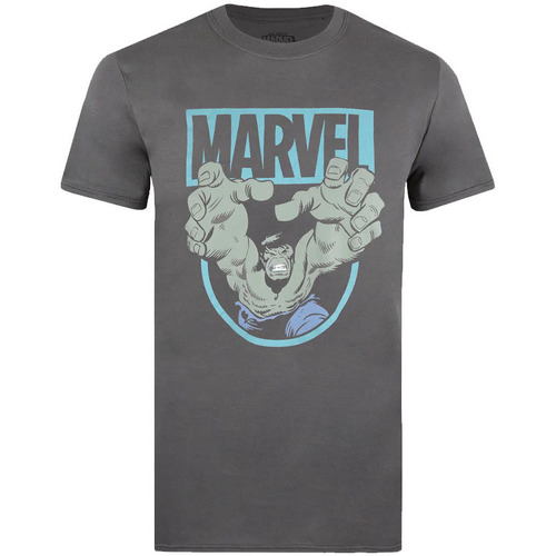 Vêtements Homme T-shirts manches longues Hulk Force Multicolore