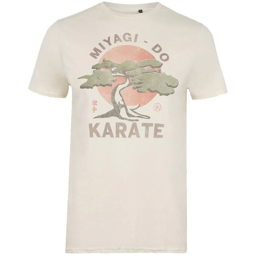 Vêtements Homme T-shirts manches longues Cobra Kai Miyagi Do Karate Beige