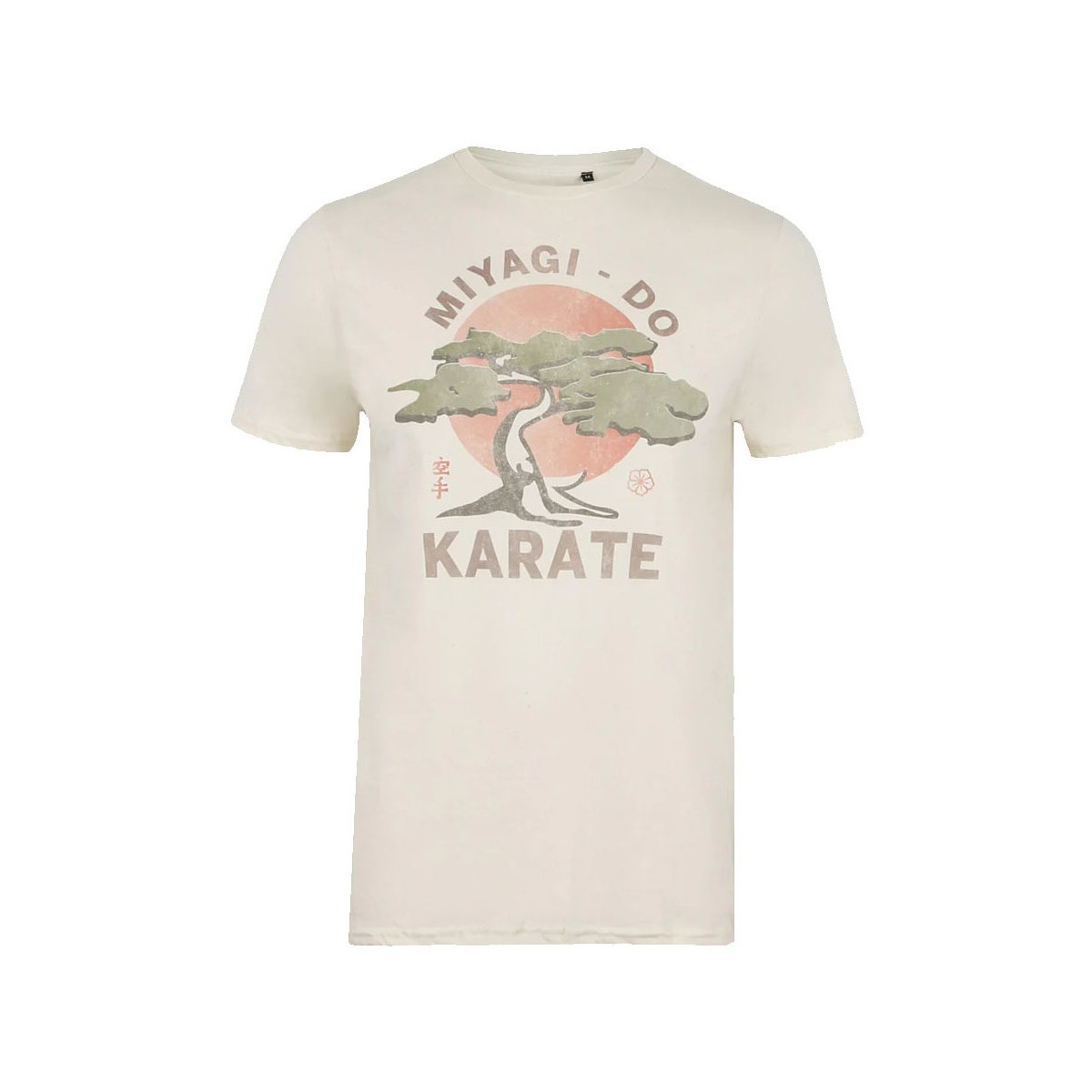 Vêtements Homme T-shirts manches longues Cobra Kai Miyagi Do Karate Beige