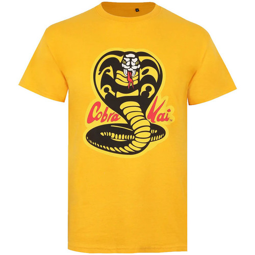 Vêtements Homme T-shirts manches longues Cobra Kai TV384 Multicolore
