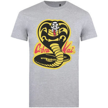 Vêtements Homme T-shirts manches longues Cobra Kai  Gris