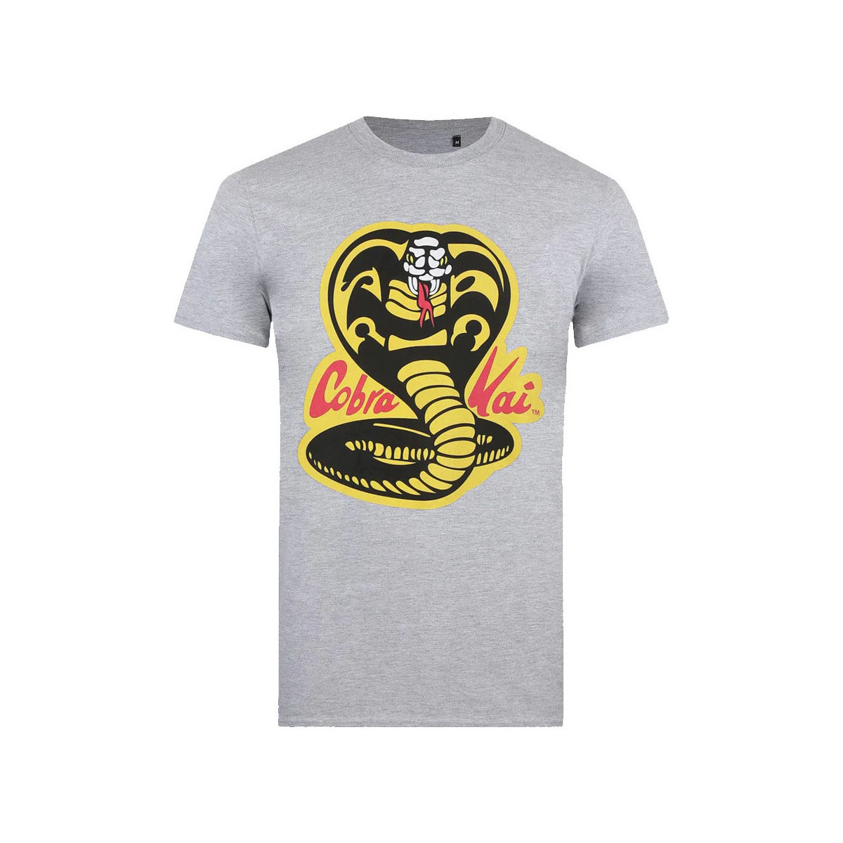Vêtements Homme T-shirts manches longues Cobra Kai TV384 Gris