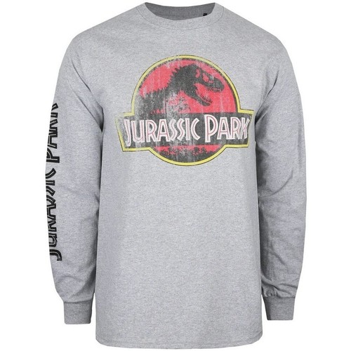 Vêtements Homme T-shirts manches longues Jurassic Park TV427 Gris