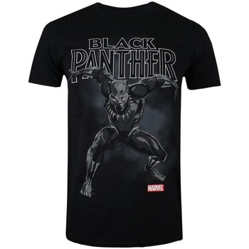 Vêtements Homme T-shirts manches longues Black Panther  Noir