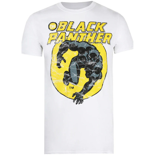 Vêtements Homme T-shirts manches longues Black Panther TV502 Multicolore
