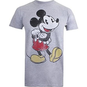 Vêtements Homme T-shirts manches longues Disney  Gris