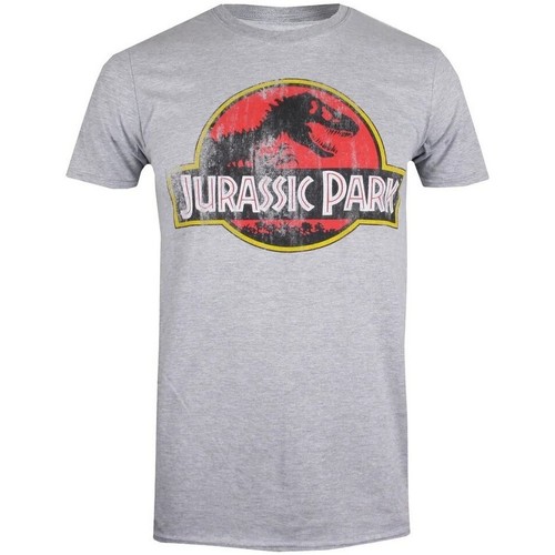 Vêtements Homme T-shirts manches longues Jurassic Park TV606 Gris