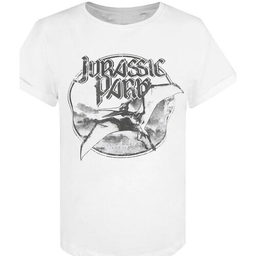 Vêtements Femme T-shirts manches longues Jurassic Park Rocks Blanc