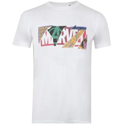 Vêtements Homme T-shirts manches longues Marvel TV839 Blanc