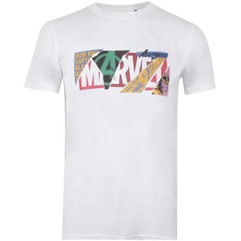 Vêtements Homme T-shirts manches longues Marvel TV839 Blanc