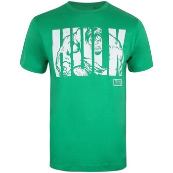 Vêtements Homme T-shirts manches longues Hulk  Vert