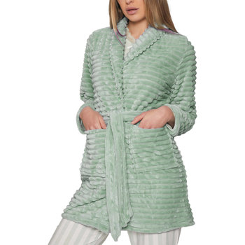 Vêtements Femme Pyjamas / Chemises de nuit Admas Robe chambre Winter Paisley Vert
