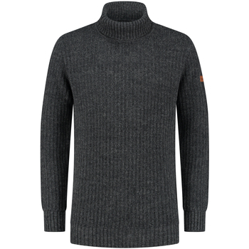 Vêtements Homme Pulls Travelin' Coll Boda Pullover Gris
