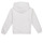 Vêtements Garçon Sweats Calvin Klein Jeans MINI BLOCK LOGO HOODIE Blanc