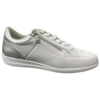 Chaussures Femme Baskets basses Geox MYRIA WHITE/SILVER