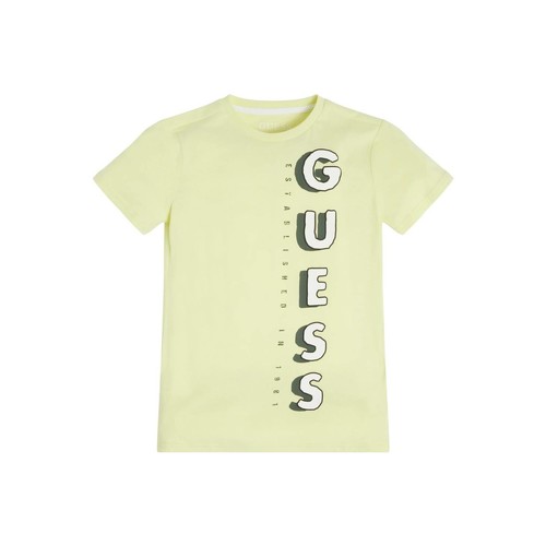 Vêtements Garçon T-shirts manches courtes FM7NGM Guess SS T SHIRT Beige