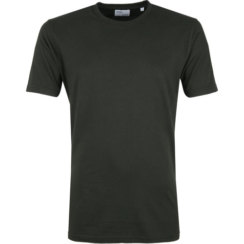 Vêtements Homme T-shirts & Polos Colorful Standard T-shirt Bio Vert Foncé Vert