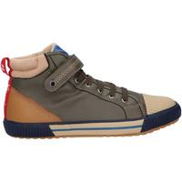 Chaussures Garçon Boots Kickers 915740-30 GECKIRO HI Vert