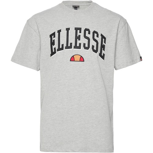 Vêtements Homme holiday by emma mulholland clothing Ellesse Columbia Gris