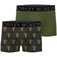 Sous-vêtements Homme Boxers Crazy Boxer CRAZYBOXER 2 Boxers Homme Bio BCBCX2 SUMM Gris
