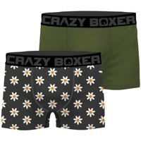 Sous-vêtements Homme Boxers Crazy Boxer CRAZYBOXER 2 Boxers Homme Bio BCBCX2 SUMM Kaki Gris