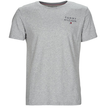 Vêtements Homme T-shirts manches courtes Tommy Hilfiger CN SS TEE LOGO Gris