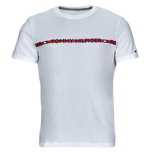 Vêtements Homme T-shirts manches courtes Tommy Blue Hilfiger CN SS TEE LOGO Blanc