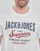 Vêtements Homme T-shirts manches courtes Jack & Jones JJELOGO TEE SS O-NECK Ecru