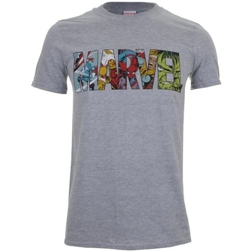 Vêtements Homme T-shirts manches longues Marvel TV860 Gris