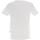 Vêtements Homme T-shirts manches courtes Schott T shirt serigraphie logo Blanc
