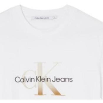 Vêtements Femme Zebra Hooded Sweatshirt Calvin Klein Jeans  Blanc