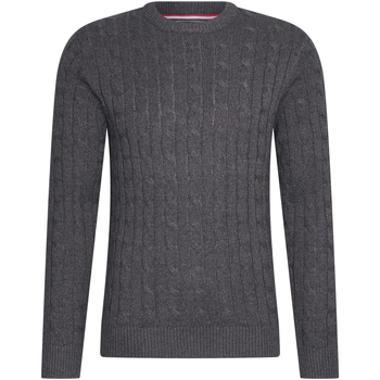Vêtements Homme Sweats Cappuccino Italia Cable Pullover Antraciet Gris