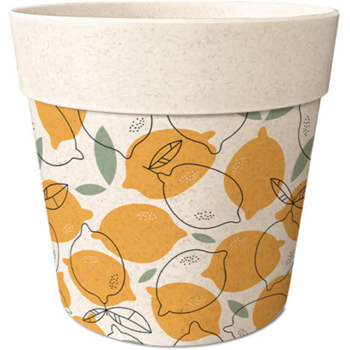 Maison & Déco Vases / caches pots d'intérieur Sud Trading Cache-pot en bambou motif citrons 8 cm Beige