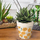 Maison & Déco Vases / caches pots d'intérieur Sud Trading Cache pot en bambou citrons 12 cm Beige
