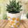 Maison & Déco Vases / caches pots d'intérieur Sud Trading Cache pot en bambou citrons 15.5 cm Beige