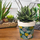 Maison & Déco Vases / caches pots d'intérieur Sud Trading Cache pot en bambou motif bambou 12 cm Beige